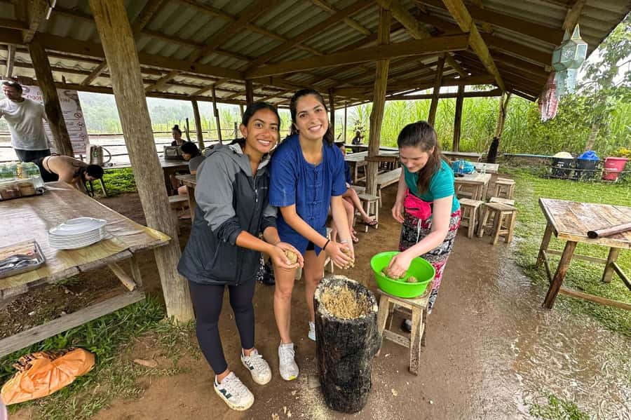 Chiang Mai: Day for Elephant Observation Only Half-day Trip - Elephant education briefing: what you learn before you feed