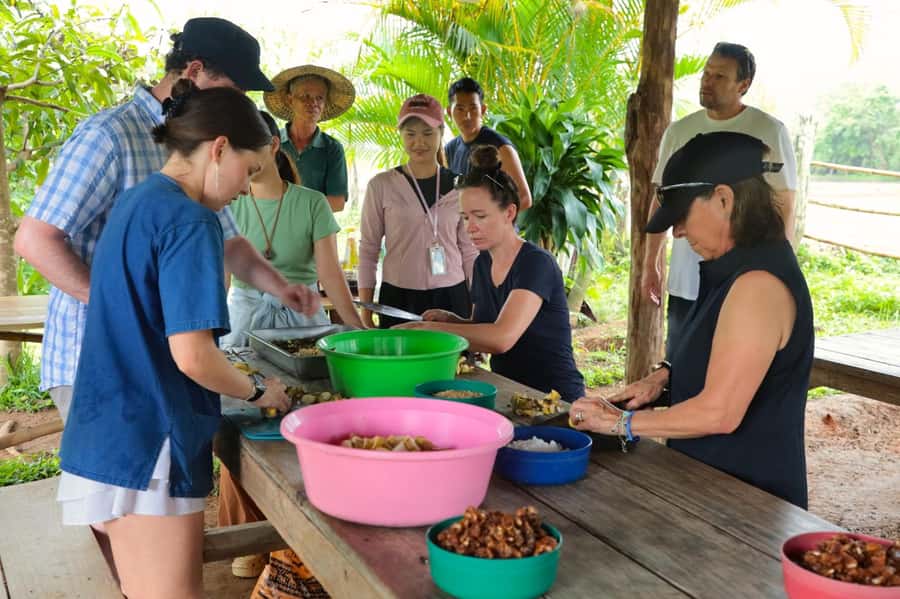 Chiang Mai: Day for Elephant Observation Only Half-day Trip - Who this trip is best for (and who should skip it)