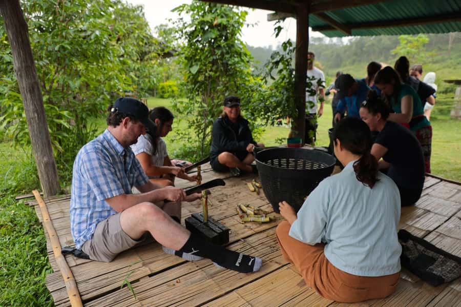 Chiang Mai: Day for Elephant Observation Only Half-day Trip - Price and value: what $46 buys you in Chiang Mai