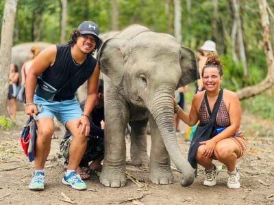 Chiang Mai: Doi Inthanon and Elephant Sanctuary Tour - The Morning Pickup and the Van Ride South
