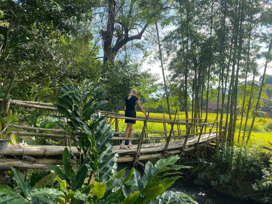 Chiang Mai: Doi Inthanon Explore & ATV Adventure - Pa Pong Piang rice terraces and markets: culture without a hard sell
