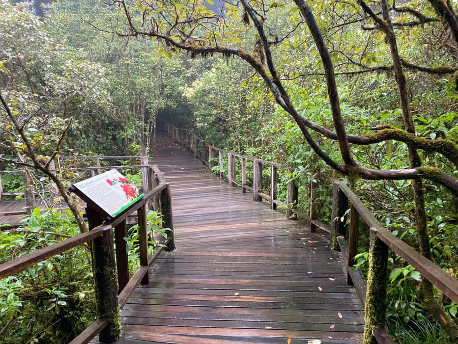 Chiang Mai: Doi Inthanon Explore & ATV Adventure - ATV adventure in Doi Inthanon: choosing 1.5 vs 2 hours