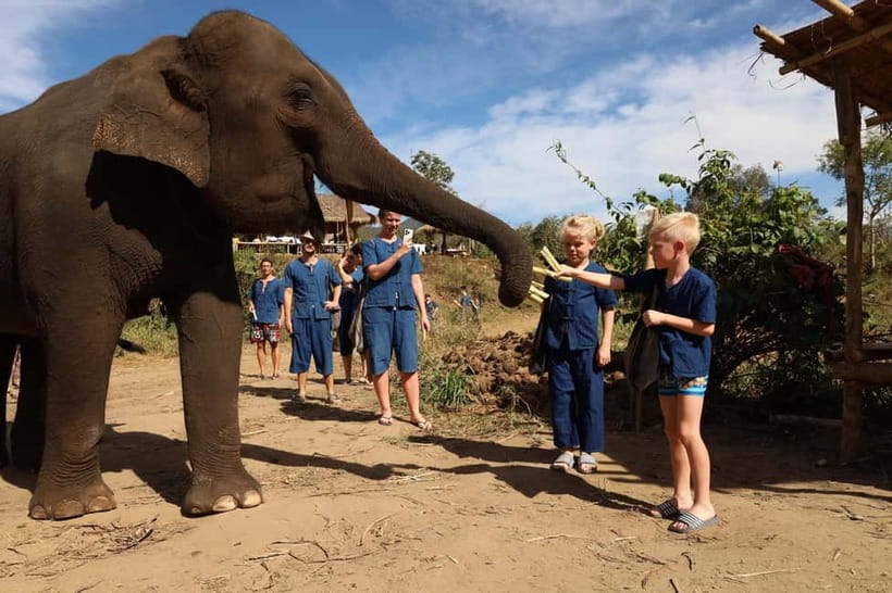 Chiang Mai: Doi Inthanon Hiking & Elephant Sanctuary Program - Quick hits: what to expect from this Chiang Mai day trip