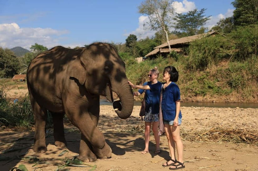 Chiang Mai: Doi Inthanon Hiking & Elephant Sanctuary Program - Pha Dok Siew nature trail: rice terraces, wildlife, and a waterfall break