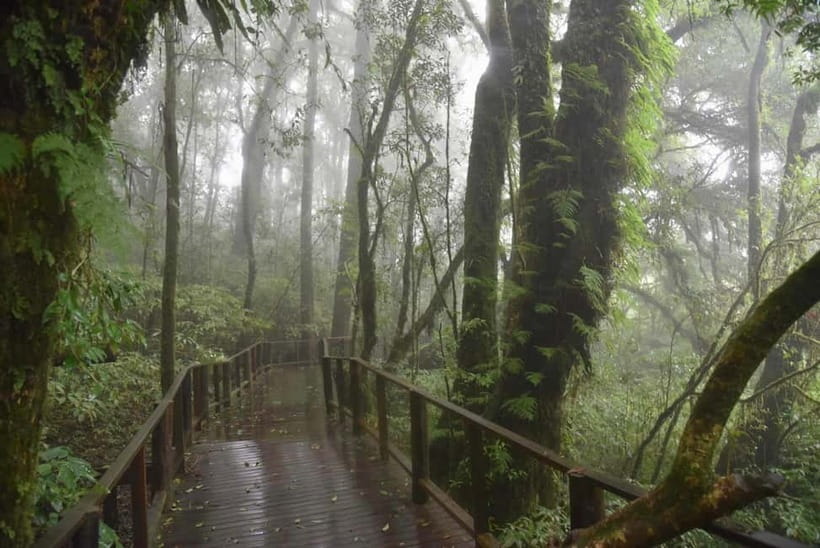 Chiang Mai: Doi Inthanon National Park and Kew Mae Pan Tour - 2,565-Meter Summit at Doi Inthanon: The Highest Spot Photo Stop