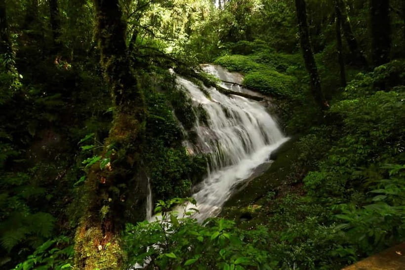 Chiang Mai: Doi Inthanon National Park and Kew Mae Pan Tour - Who Leads Your Walk: Guides Like Steve, Eddy, and Paul