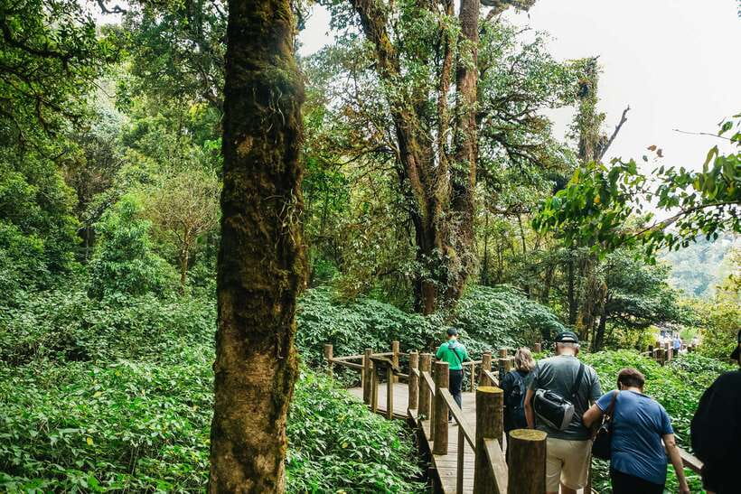 Chiang Mai: Doi Inthanon National Park Eco-Friendly Tour - Quick Highlights