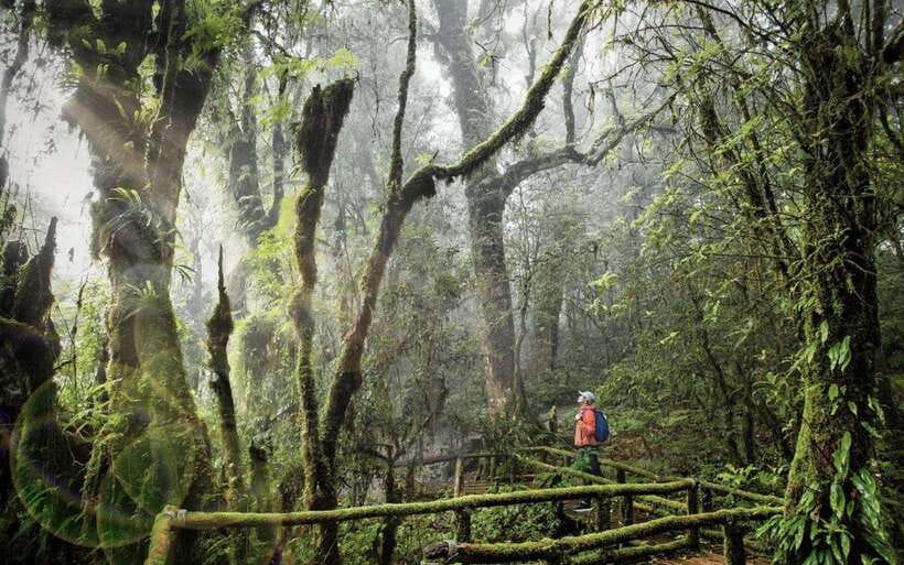 Chiang Mai: Doi Inthanon National Park Sightseeing Only - King and Queen Pagodas: why this stop is worth the effort