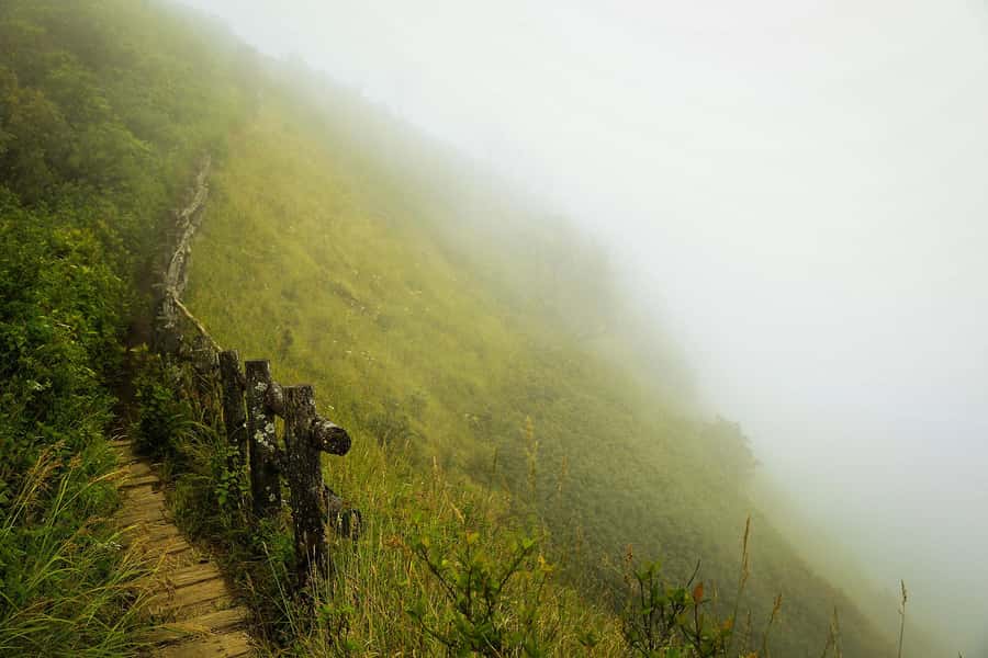Chiang Mai: Doi Inthanon National Park, Waterfall & Lunch - Entering the park: highest point energy and viewpoint time