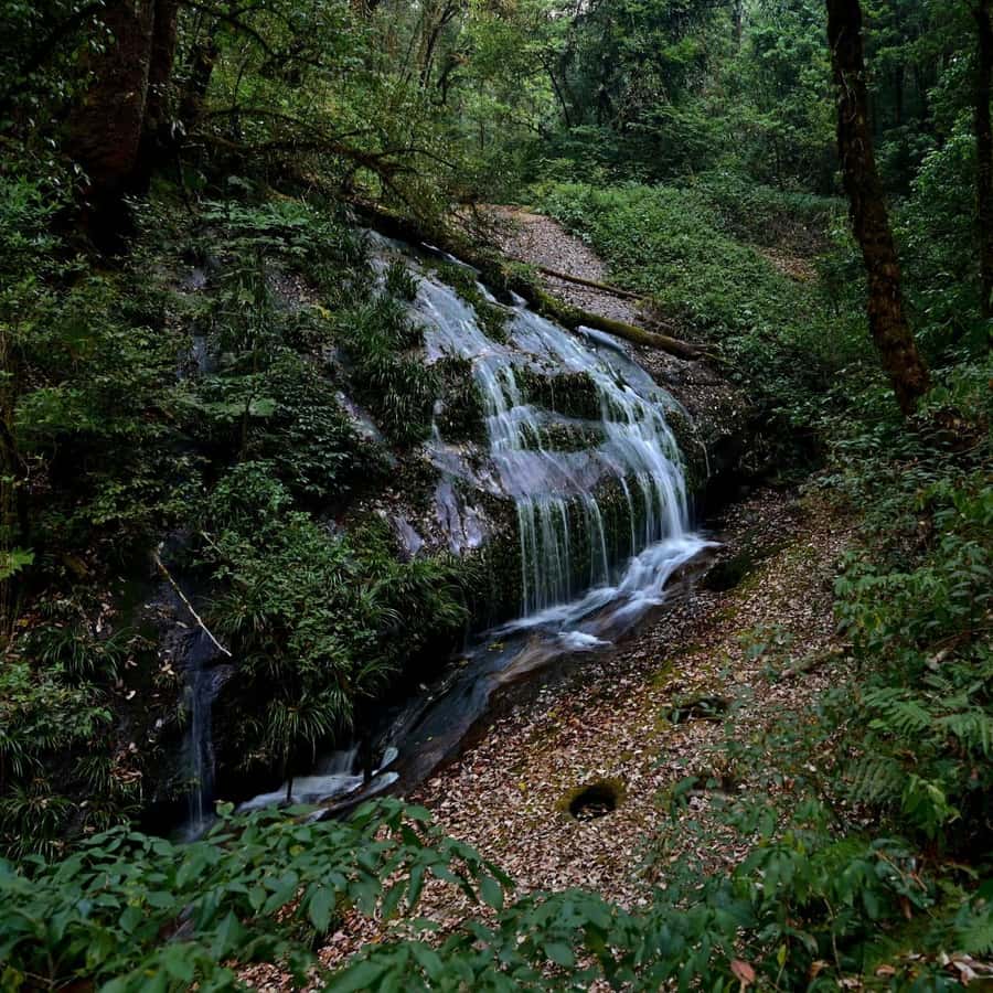 Chiang Mai: Doi Inthanon National Park, Waterfall & Lunch - Waterfalls and the Wachirathan moment
