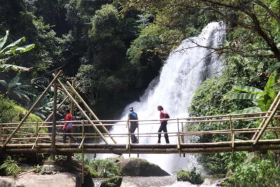 Chiang Mai: Doi Inthanon National Park+Trek Pha Dok Siew - King and Queen Pagodas: Scenic Stops With Garden Time