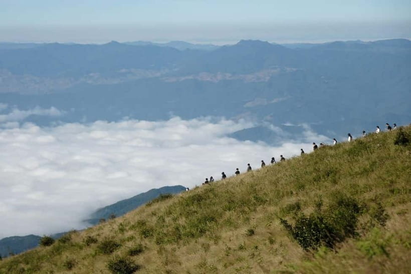 Chiang Mai: Doi Inthanon Park and Kew Mae Pan 2-Hour Hike - Why Doi Inthanon Feels Like a Whole Different World