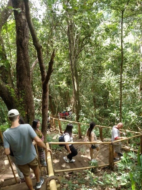 Chiang Mai: Doi Inthanon Park and Pha Dok Siew Hike Day Trip - Hmong Village Lunch: Food Stop Plus Market Reality Check