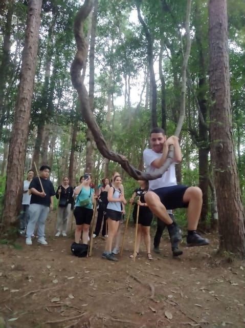 Chiang Mai: Doi Inthanon Park and Pha Dok Siew Hike Day Trip - Pha Dok Siew Nature Trail: Two Hours of Guided Rainforest Walk