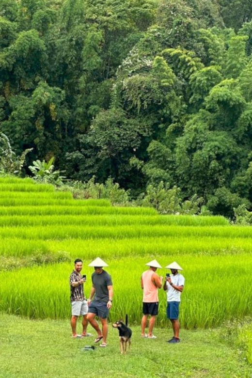 Chiang Mai: Doi Inthanon Park and Pha Dok Siew Trail Trek - Doi Inthanon summit stop: the high point, done efficiently
