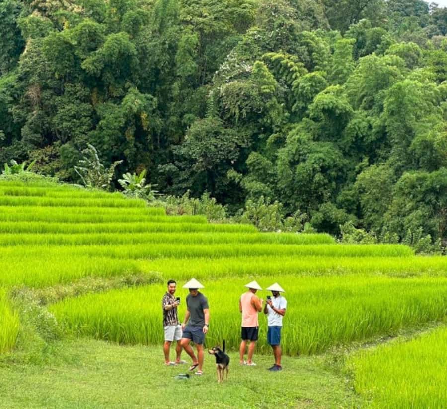 Chiang Mai: Doi Inthanon Park Hiking & Elephants Sanctuary - Elephant sanctuary visit: observing rescued elephants the right way