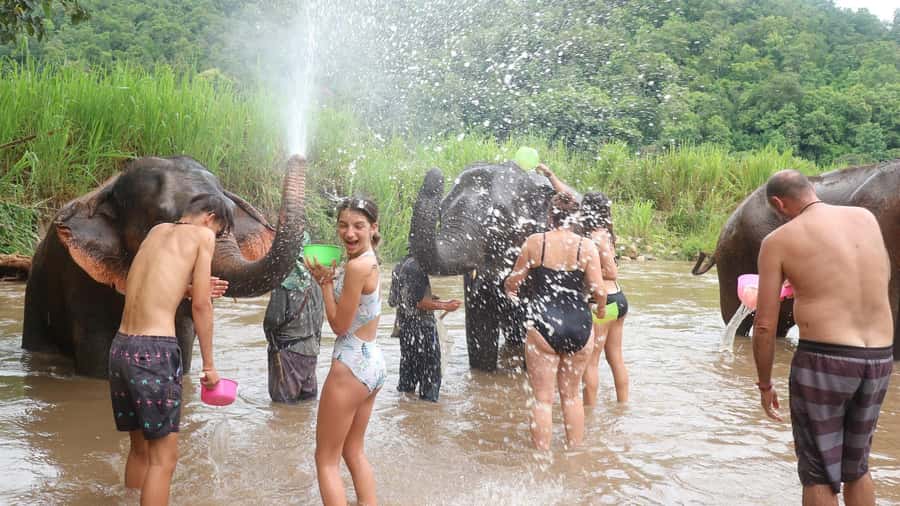Chiang Mai: Doi Inthanon Park Hiking & Elephants Sanctuary - Lunch at Doi Inthanon: refuel without expecting a food show