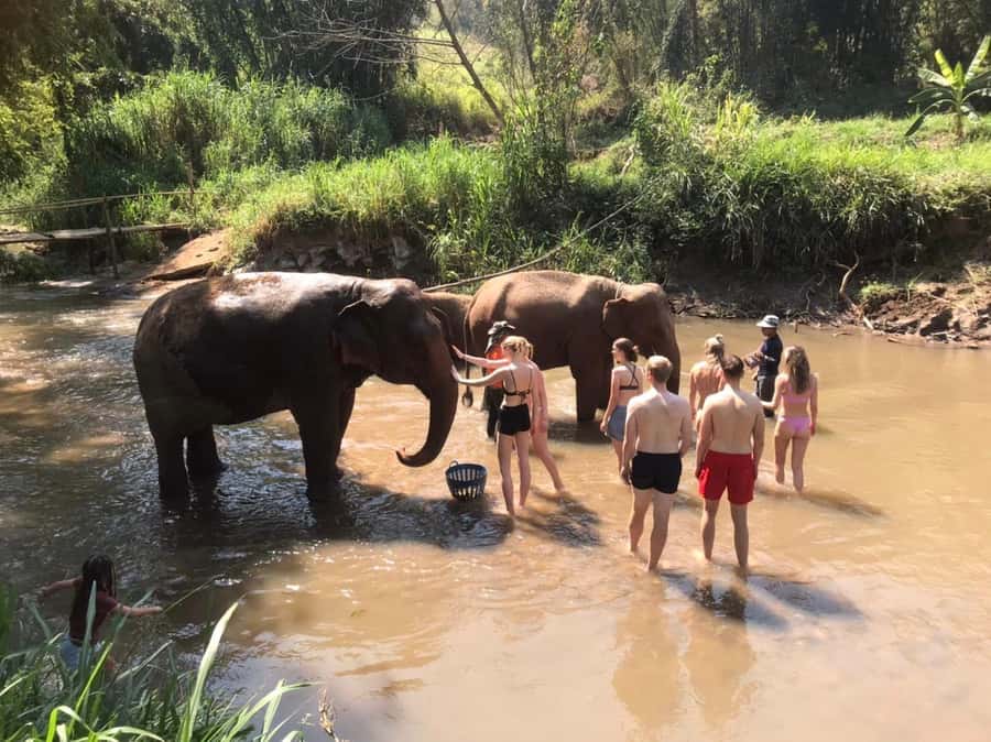 Chiang Mai: Doi Inthanon Park Hiking & Elephants Sanctuary - Getting back to Chiang Mai: plan for a late evening buffer