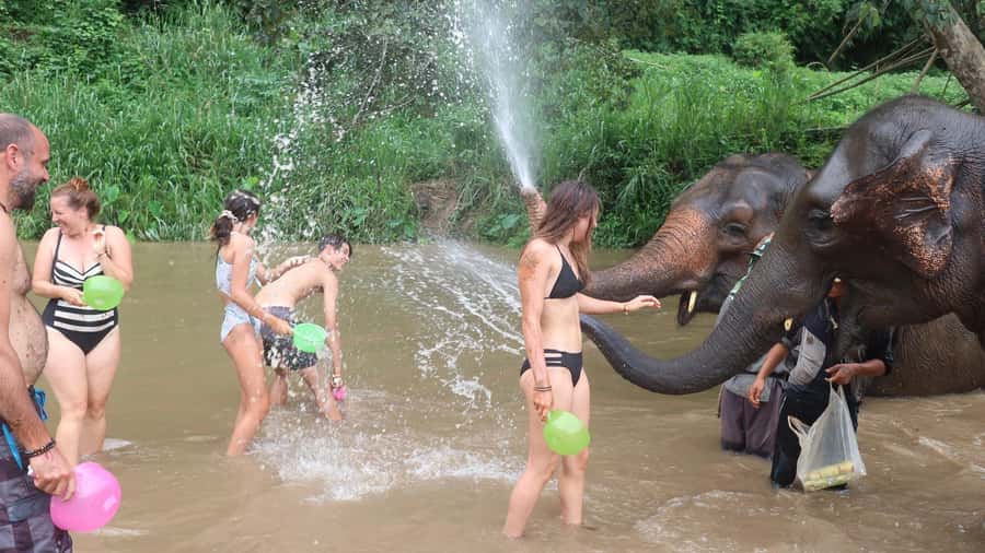 Chiang Mai: Doi Inthanon Park Hiking & Elephants Sanctuary - Morning logistics from Chiang Mai: what matters and what doesn’t
