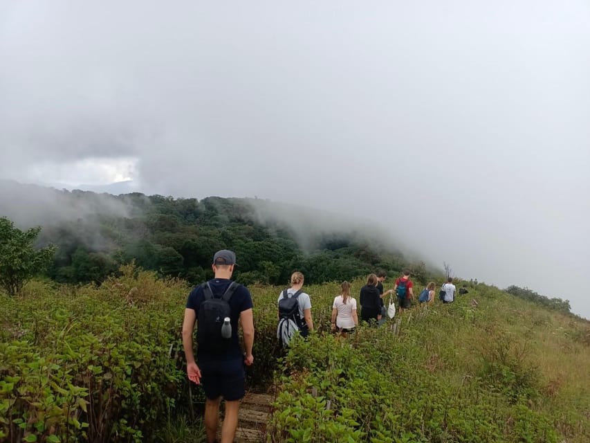 Chiang Mai: Doi Inthanon Park with Kew Mae Pan Hike Day Trip - Coffee, markets, and hill-tribe life: what you’re really seeing
