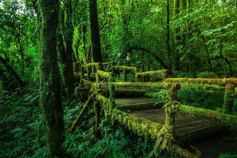 Chiang Mai: Doi Inthanon Trip with Pha Dok Siew Guided Trek - Price and what you’re really paying for
