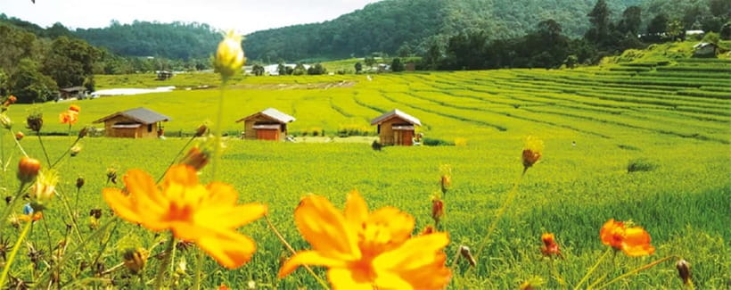 Chiang Mai: Doi Inthanon Trip with Pha Dok Siew Guided Trek - Dress code and behavior rules you should actually remember