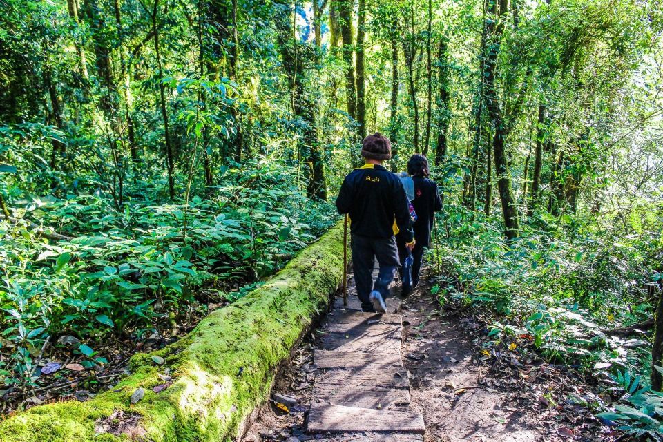 Chiang Mai: Doi Inthanon, Waterfalls, & Tribal Villages Tour - Karen and Hmong village visits plus the hill market stop