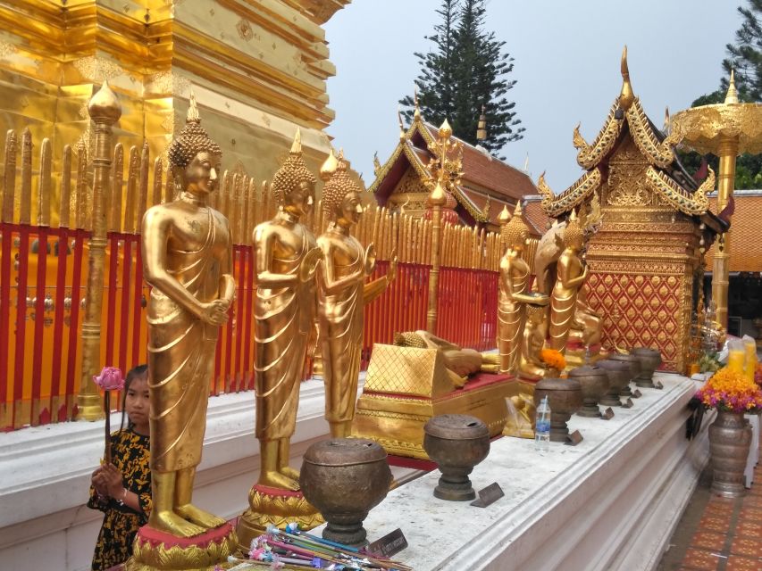 Chiang Mai: Doi Suthep National Park Leisure Hiking & Biking - Wat Pha Lat: the satisfying follow-up stop