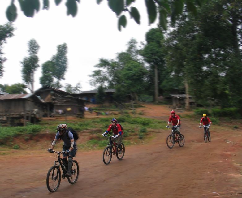 Chiang Mai: Doi Suthep National Park Leisure Hiking & Biking - What you’re paying $60 for (and what costs extra)