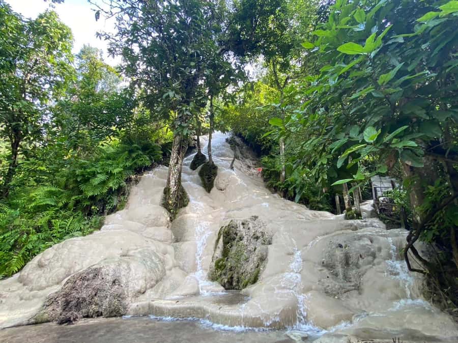 Chiang Mai: Doi Suthep, Orchid Farm and Waterfall with Lunch - Wat Phra That Doi Suthep: Chiang Mai’s signature temple visit