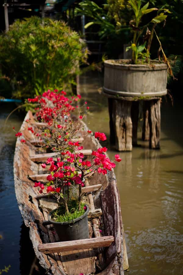 Chiang Mai: Doi Suthep, Orchid Farm and Waterfall with Lunch - Price and value: what $152 per group really buys