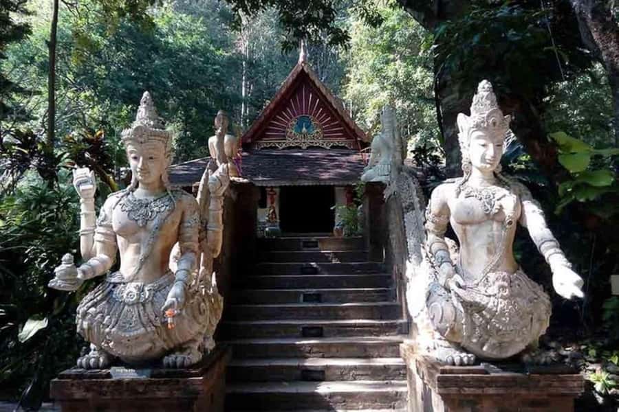 Chiang Mai: Doi Suthep, Orchid Farm and Waterfall with Lunch - Bai Orchid & Butterfly Farm: where the lunch actually matters