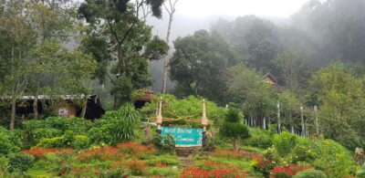 Chiang Mai: Doi Suthep Temple & Hmong Village Tour - Wat Phrathat Doi Suthep: The Temple Stop That Justifies the Drive