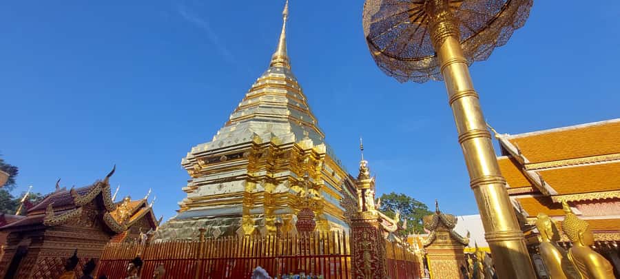 Chiang Mai: Doi Suthep Temple & Sticky Waterfall Trip - Bai Orchid & Butterfly Farm: a color break that stays practical