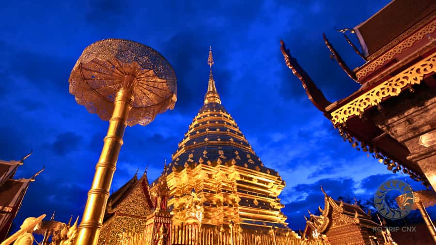 Chiang Mai: Doi Suthep, Wat Pha Lat and Michelin Food Tour - Michelin Bib Gourmand bites: what you might eat for lunch or dinner
