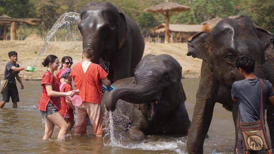 Chiang Mai: Elephant care & Long Neck &Sticky Waterfall Tour - Key moments you’ll remember
