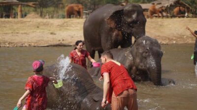 Chiang Mai: Elephant care & Long Neck &Sticky Waterfall Tour - From your hotel to Mae Rim and Mae Taeng: the drive rhythm