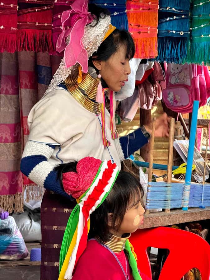 Chiang Mai : Elephant Care & Long necked village - Chiang Mai sightseeing and a walking segment: what the 2.5 hours can do