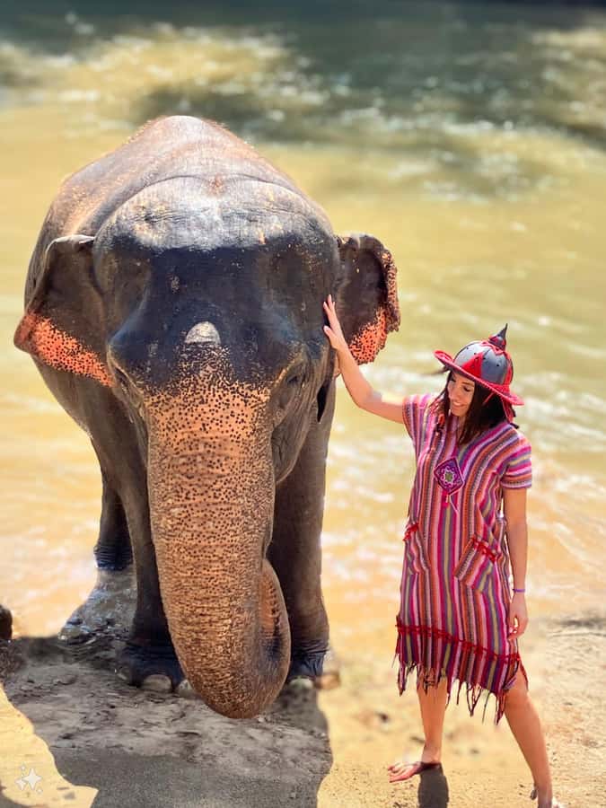 Chiang Mai : Elephant Care & Long necked village - Getting to the province: The van ride and first stops
