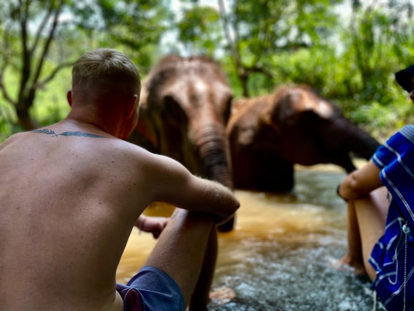 Chiang Mai: Elephant Dream Project Sanctuary - Half-Day - Key highlights you’ll remember
