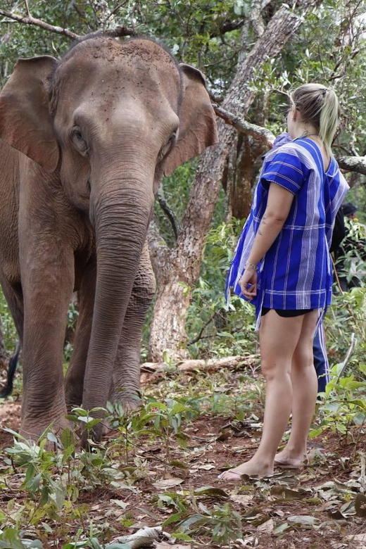 Chiang Mai: Elephant Dream Project Sanctuary - Half-Day - What to bring so the day stays easy (and not gross)