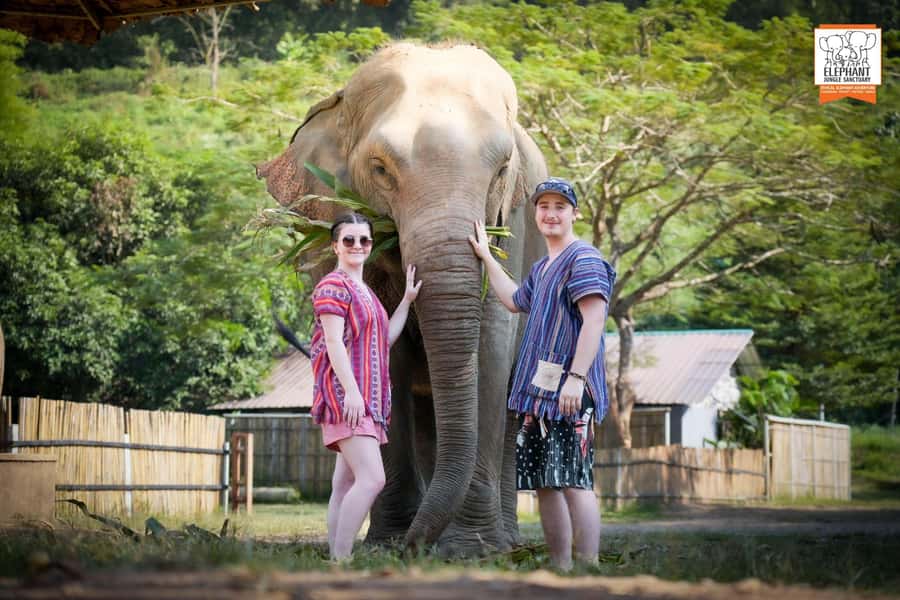 Chiang Mai Elephant Jungle Sanctuary &Mama Noi Cooking Class - Key Points That Make This Day Worth It