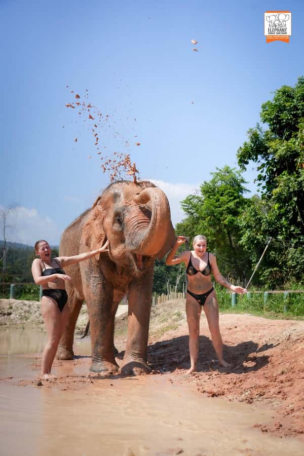 Chiang Mai Elephant Jungle Sanctuary &Mama Noi Cooking Class - Mud Spa and River Bathing: When You’ll Really Need Swimwear