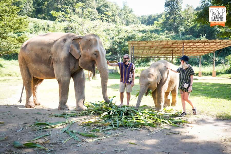 Chiang Mai Elephant Jungle Sanctuary &Mama Noi Cooking Class - The Cooking Class: Fresh Ingredients, Traditional Techniques, and Real Dinner