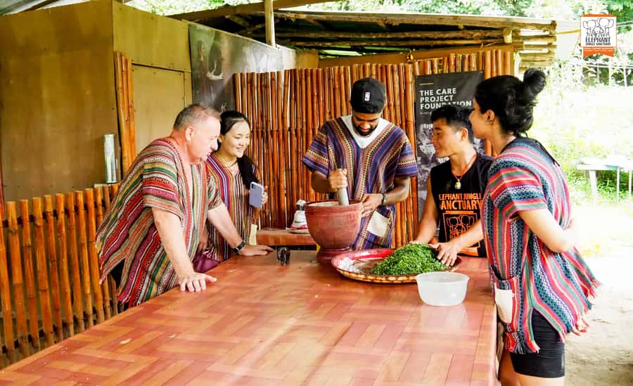 Chiang Mai: Elephant Jungle Sanctuary with Lunch & Transfer - The mud spa with elephants: messy, meaningful, and very fun