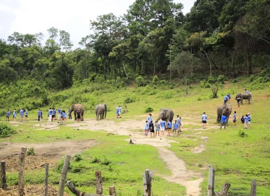 Chiang Mai Elephant Recovery Center, Doi Inthanon and Hiking - Key highlights worth your time