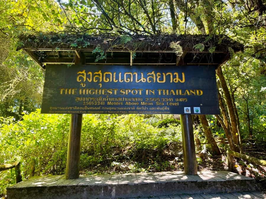 Chiang Mai Elephant Recovery Center, Doi Inthanon and Hiking - Thai food break: simple, included, and timed for the day