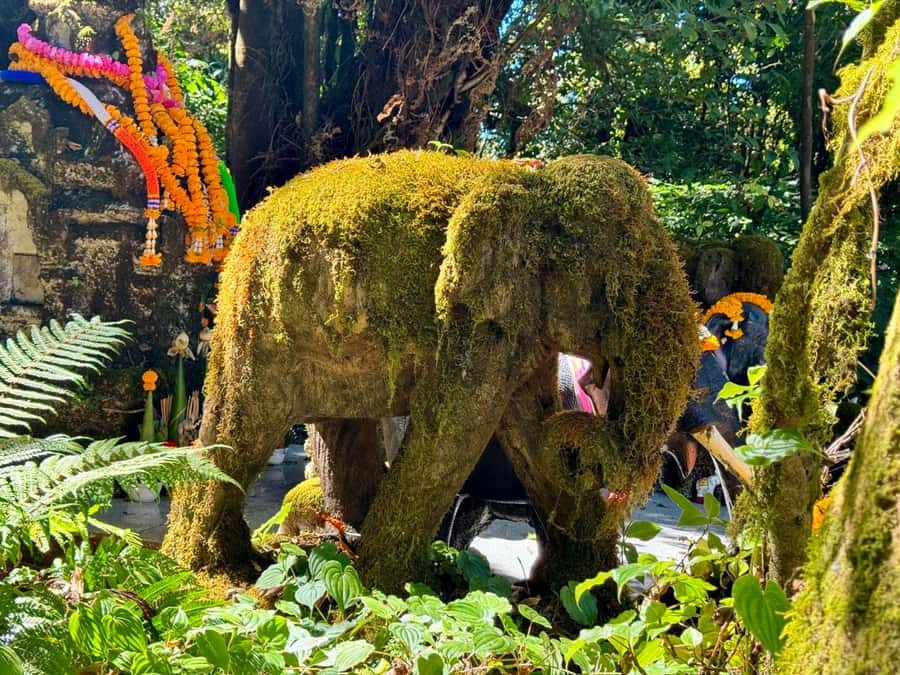 Chiang Mai Elephant Recovery Center, Doi Inthanon and Hiking - Price: what $135 covers and whether it’s good value