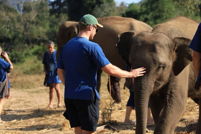 Chiang Mai: Elephant Sanctuary & Bamboo Rafting - The morning drive: countryside first, elephants second