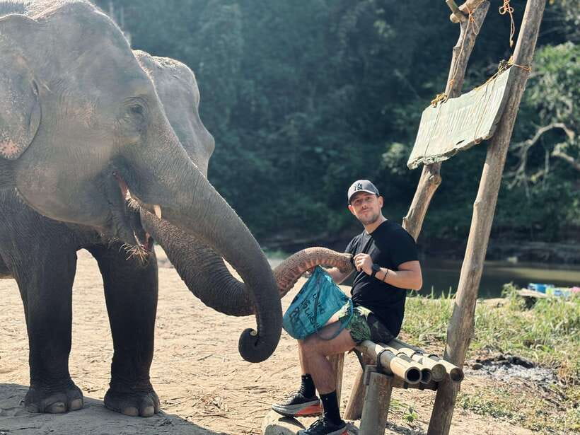 Chiang Mai: Elephant Sanctuary Feeding Program Half-Day Tour - Nature walk with rangers: slow down and watch how they move